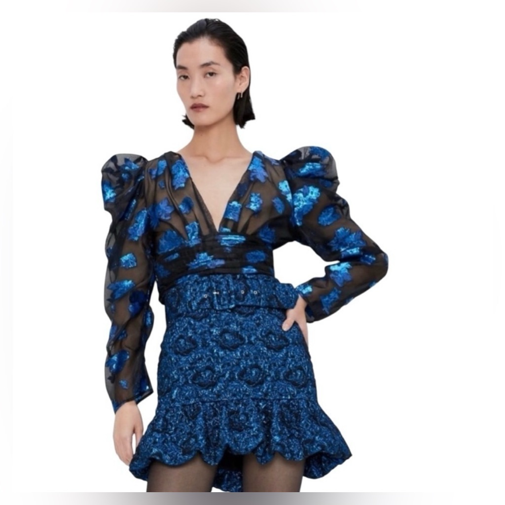 Zara Blue Metallic Floral Pattern On Sheer Black Organza Long Puff Sleeve Blouse